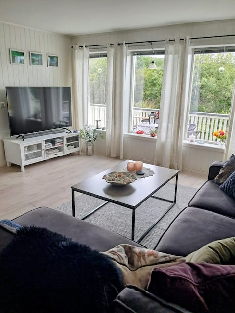 Well equipped big appartment in Lofoten (Gravdal).