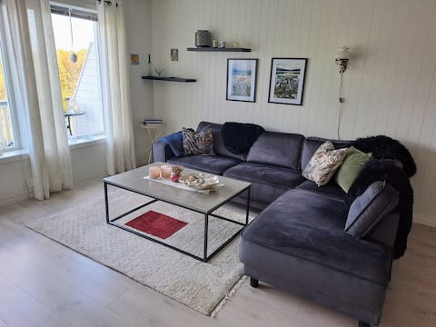 Well equipped big appartment in Lofoten (Gravdal).
