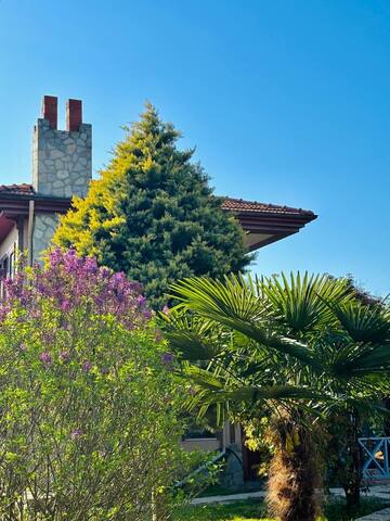 Nehir kıyısı! Jakuzi ve Şömineli 4 Oda, Tüm VİLLA gallery image 3