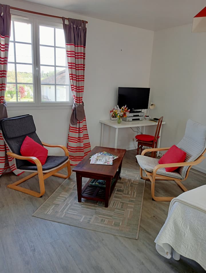 Joli Studio Au Pays Des Châteaux - Loches