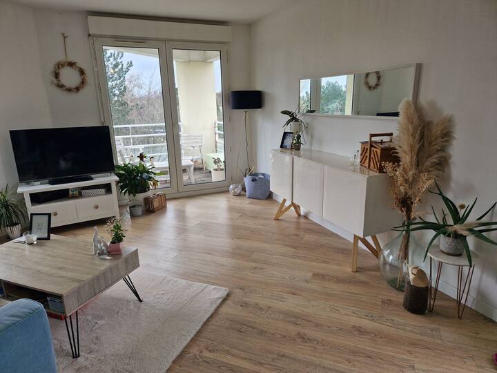 منطقة المعيشة