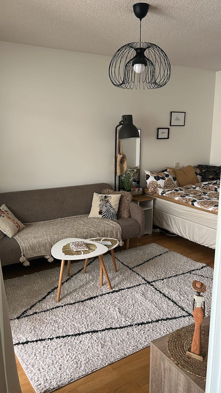 მისაღები სივრცე