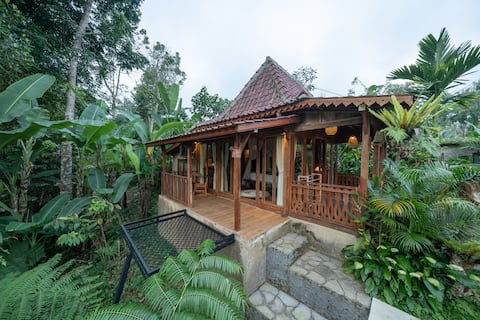 Private pool 1 BR Jungle view