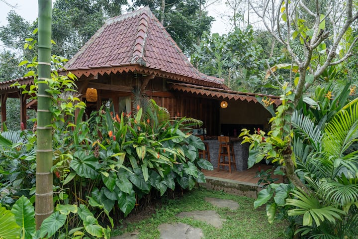 Private Pool 1 Br Jungle View - Indonesia
