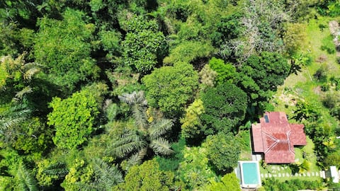 NEW! Private pool 1 BR Jungle view