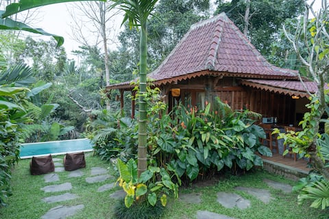 Private pool 1 BR Jungle view