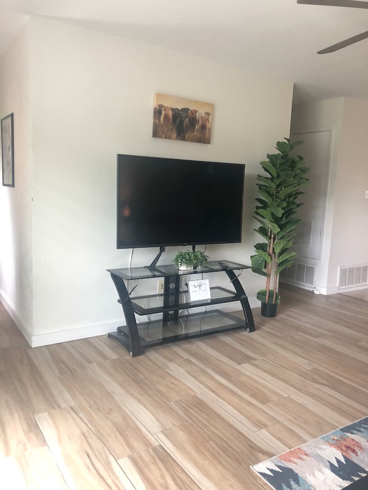 Prenosite vlastite pretplate na LR ili glavnim televizorima u spavaćoj sobi.