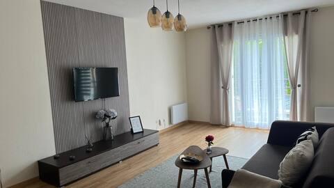 Propriété Airbnb réussie: Cozy corners at Metz station, 50 m2, Private parking, Balcony à Metz