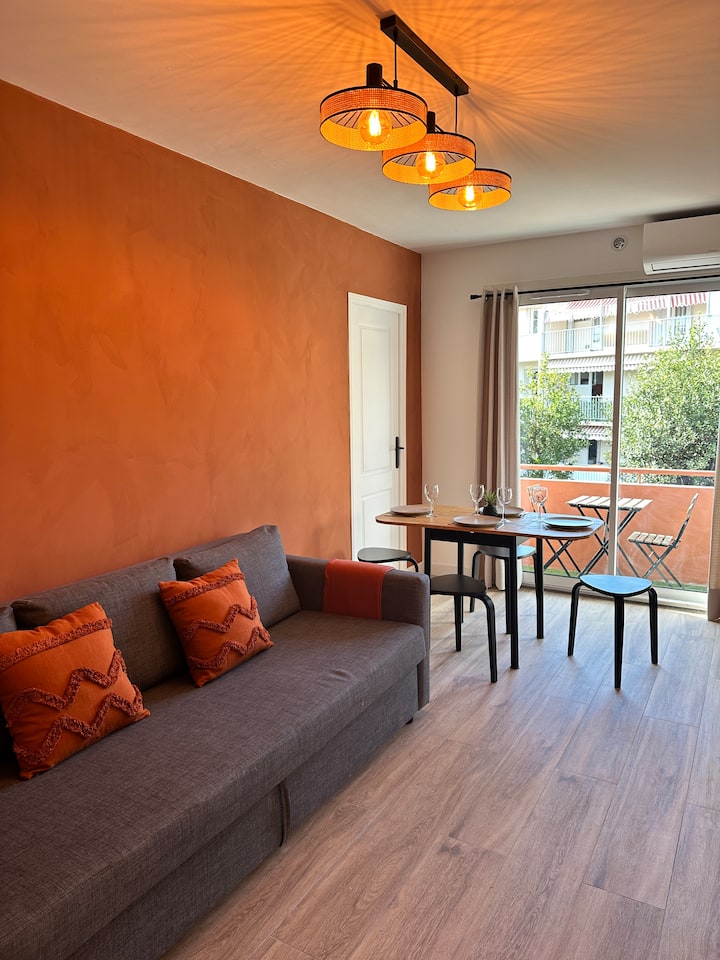 Bel Appartement T3, Parking, Balcon Et Clim - Cannes