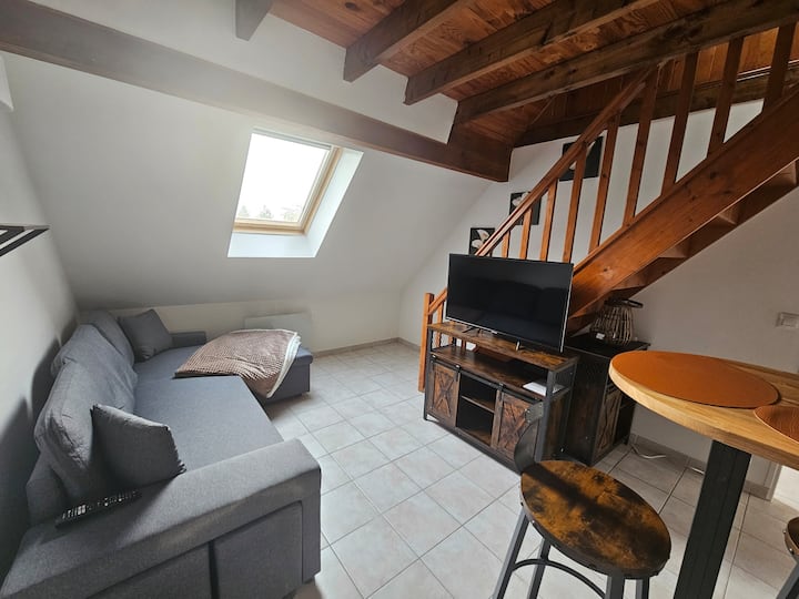 Appartement Pratique Et Moderne -Paris-cdg-astérix - Saint-Witz