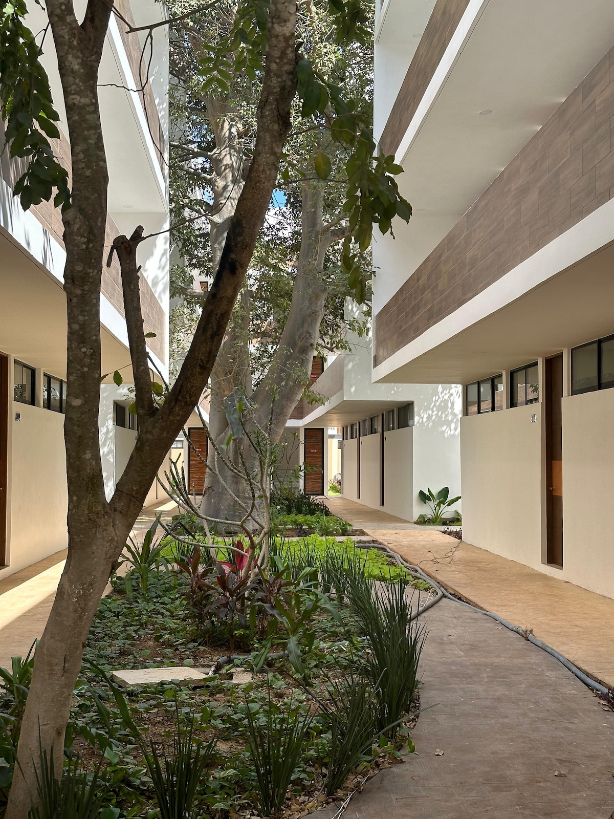 A tranquil walkway is bordered by lush greenery and well-maintained plants, leading between modern residential buildings. Sunlight filters through the trees, casting gentle shadows on the surface. The arrangement of doors and natural elements creates an inviting outdoor environment.