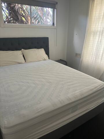 Royal botanic garden yarra river