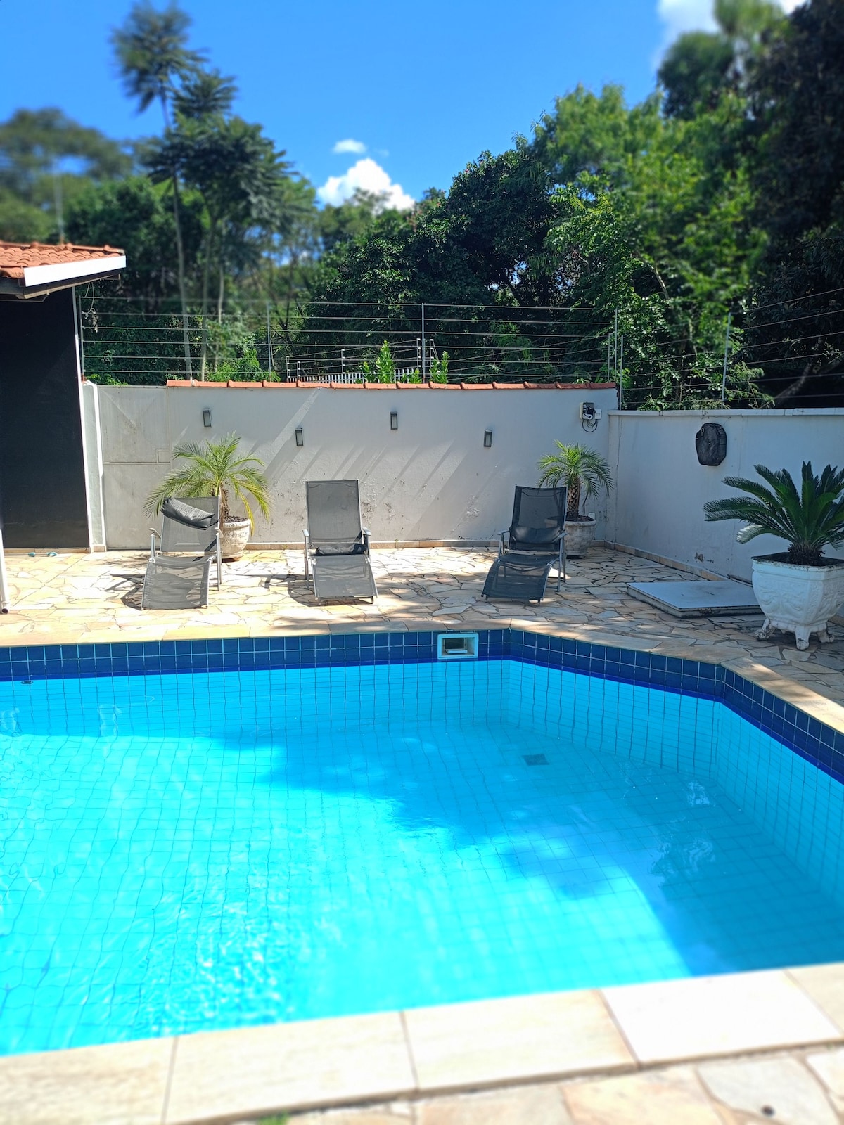 A refreshing blue swimming pool is surrounded by a tiled patio. Four lounge chairs are positioned invitingly alongside the pool, while potted plants add greenery to the area. Sunlight filters through the trees, creating a serene outdoor space.