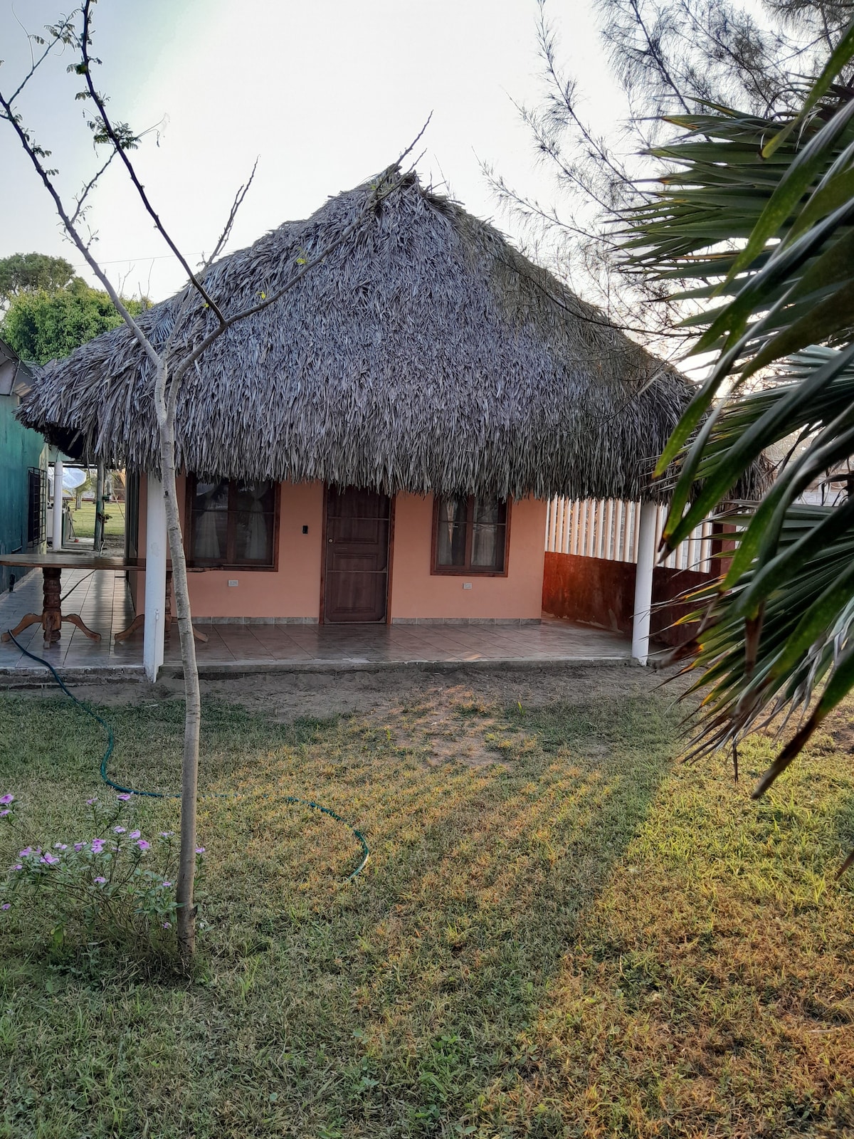A thatched-roof structure is surrounded by a grassy area and trees. The facade features a light peach color with a central wooden door and two windows, providing a warm appearance. A path leads to the entrance, inviting relaxation near nature.