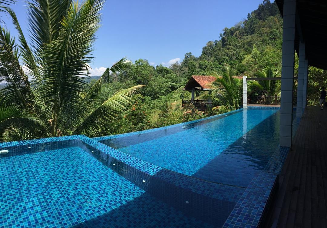 An inviting infinity pool reflects the vibrant blue tiles and overlooks the lush greenery of the tropical forest. Palm trees frame the scene, creating a serene atmosphere. In the background, a rustic shelter can be glimpsed among the foliage, enhancing the connection to nature.