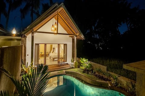 #8 1 BR w/ Infinity Pool with Paddy View
