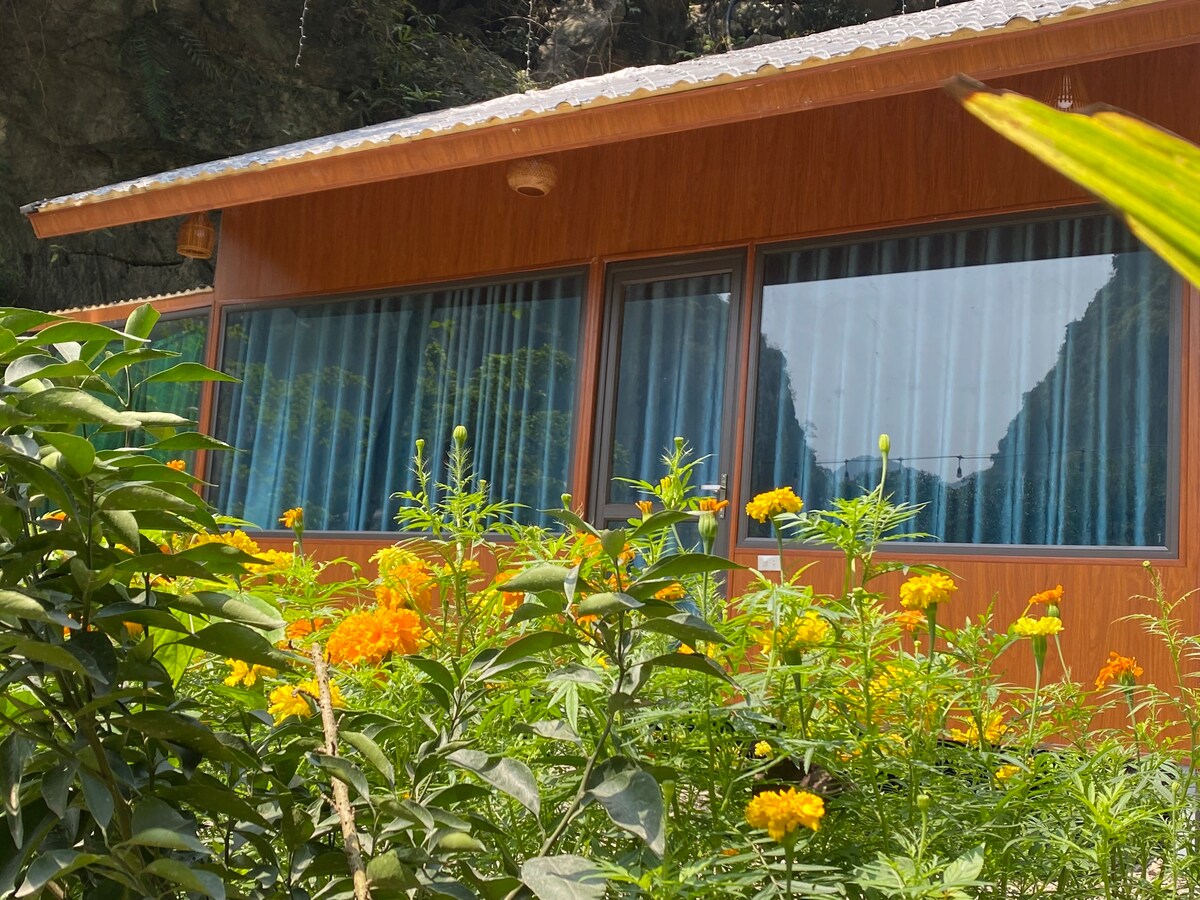 A wooden building with large windows overlooks a garden filled with vibrant orange flowers. Lush green plants surround the structure, complementing the natural scenery of hills in the background. Sunlight reflects off the windows, enhancing the calm and serene atmosphere.