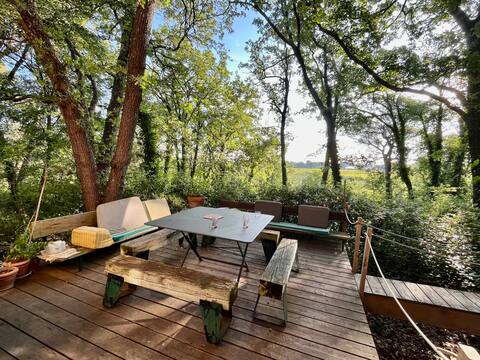 Architect-designed house in the Aix countryside