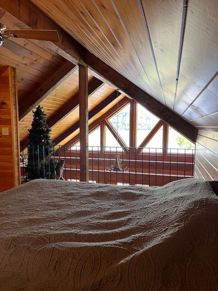 Área de la habitación