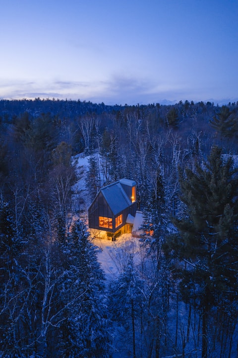 Woodland Getaway | Hot Tub • Sauna • Hike • Fire