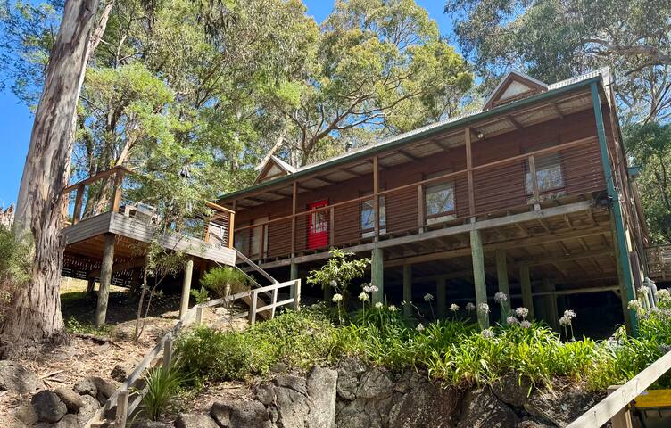 Beach views through the gum trees