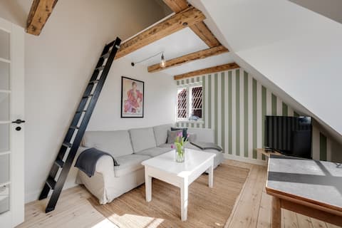 Unique apartment in townhouse