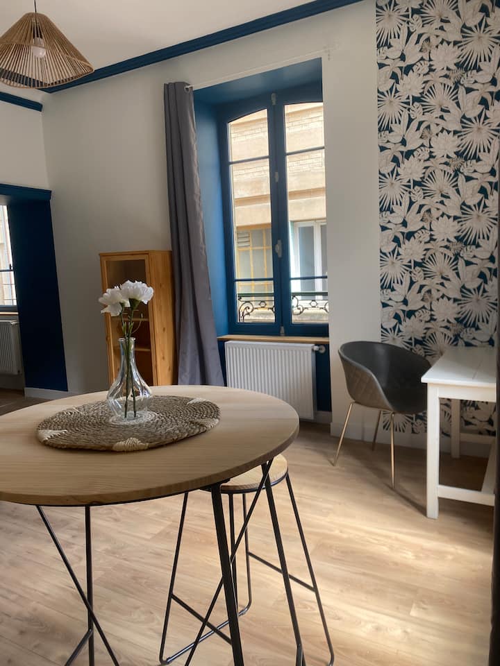 Studio Plein Centre 1 - Châtel-Guyon
