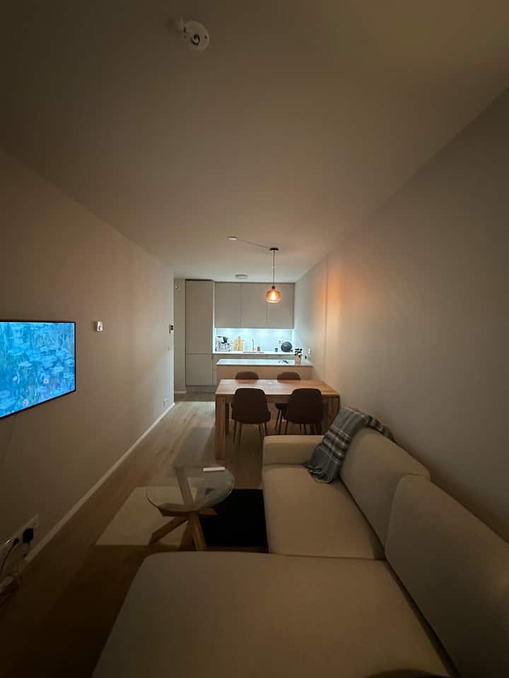 New Apartment Downtown Reykjavík Apartments for Rent in Reykjavík