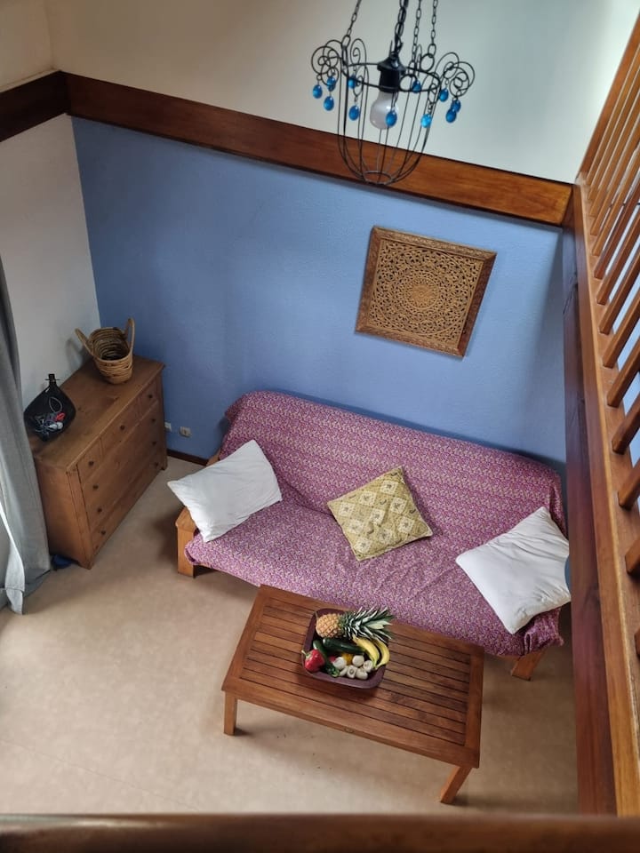 L'océan à Côté De L'appartement - Vielle-Saint-Girons