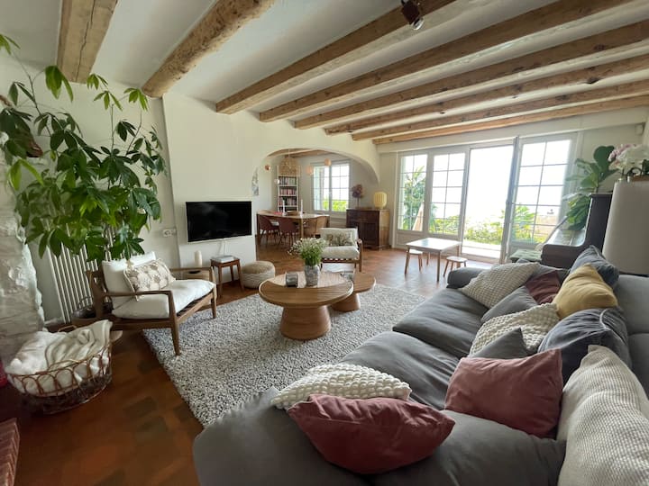 Magnifique Maison Sur La Riviera - Vevey