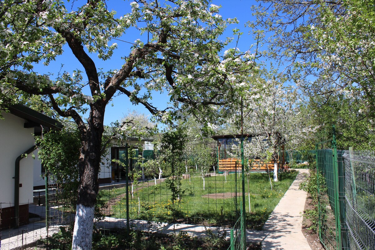 A serene outdoor space is depicted, featuring blooming trees and a well-maintained garden. A winding pathway leads through the greenery, with a cozy area visible in the background. The space is enclosed by a simple fence, enhancing the tranquil environment.