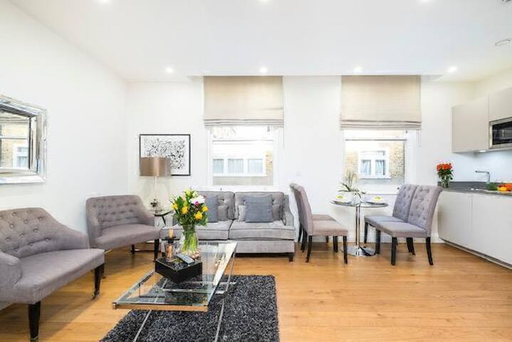 Modern 2 bed in Gloucester Road/ South Kensington