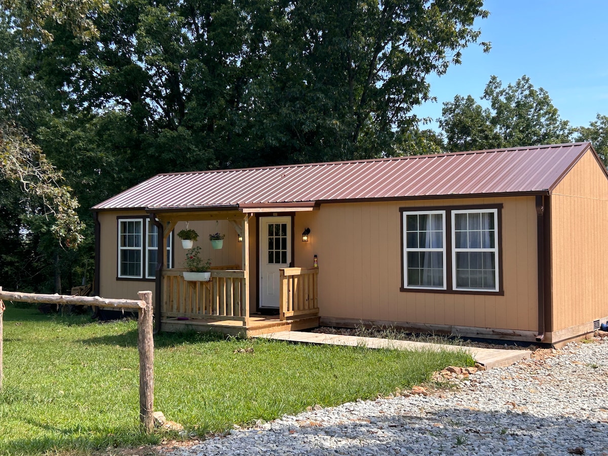 The cabin features a welcoming porch with wooden railing and potted plants. Windows allow natural light to enter, and the exterior is clad in warm yellow siding, complemented by a metal roof. Lush green grass surrounds the cabin, enhancing its serene outdoor setting.