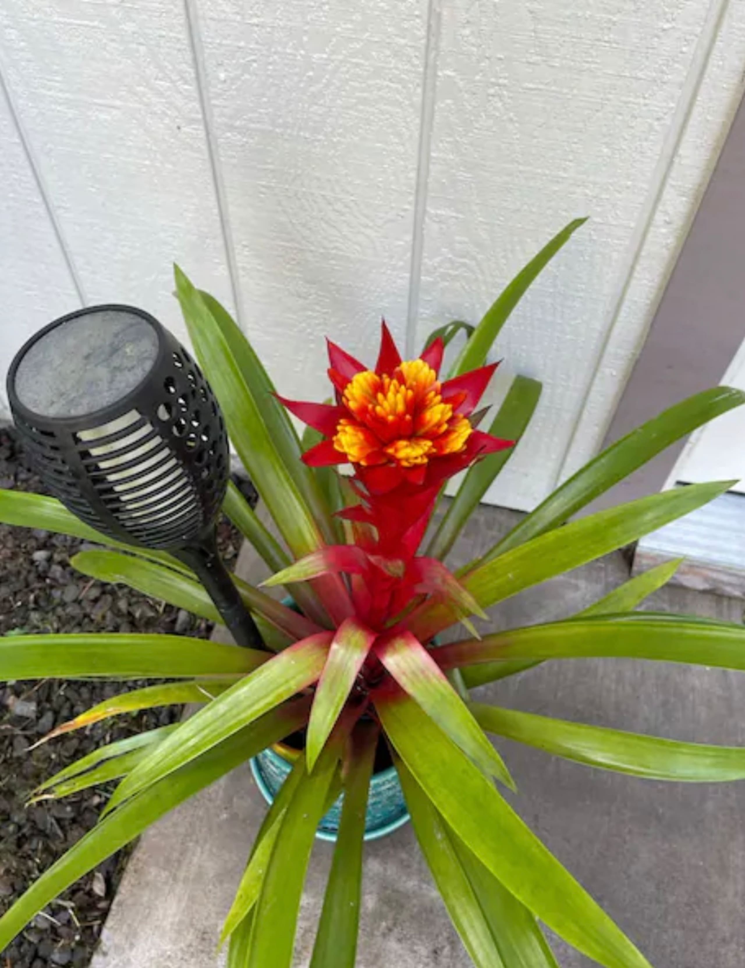 Home in Hilo · ★5.0 · 2 bedrooms · 2 shared baths - Image 35