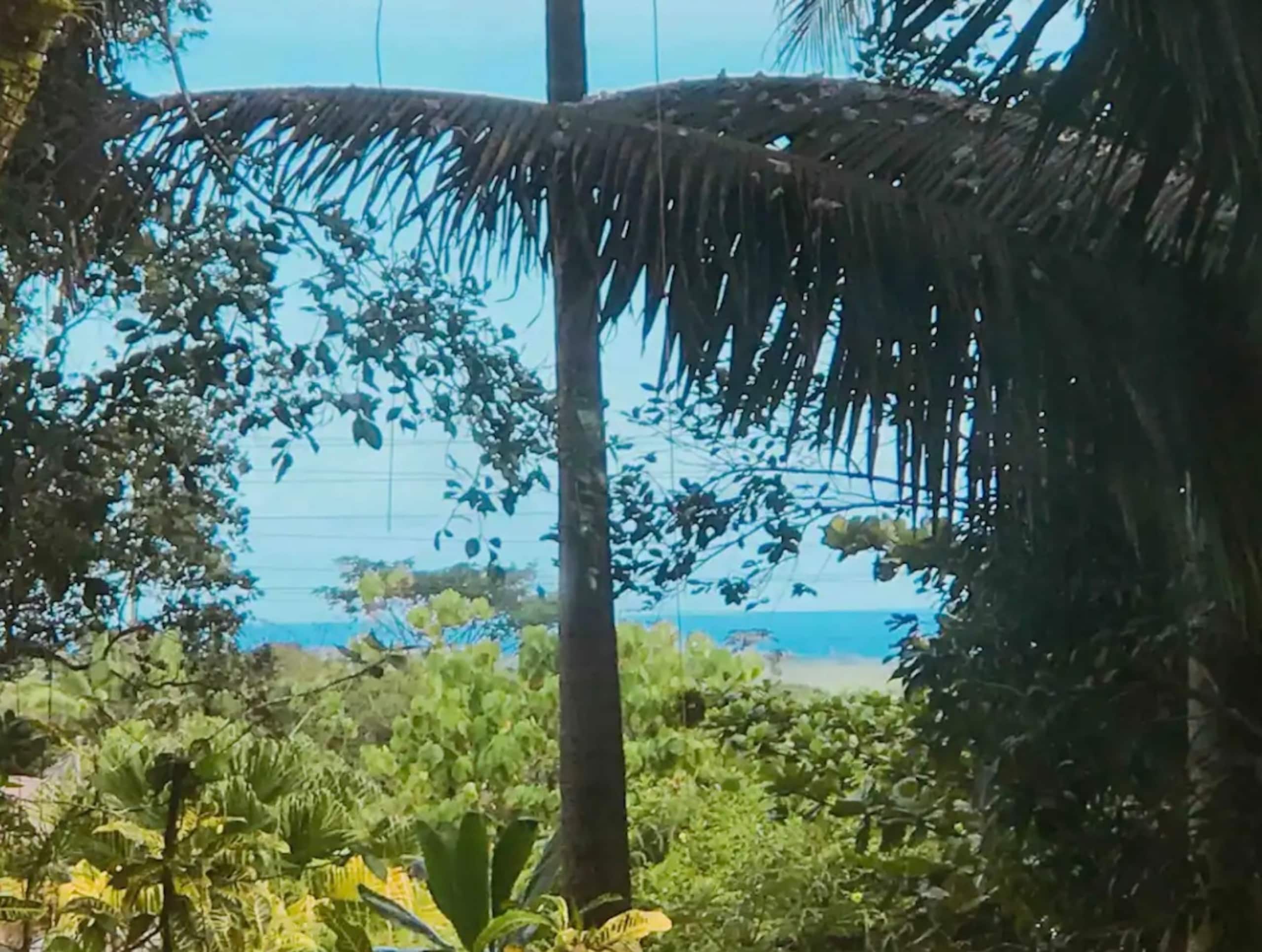 Home in Hilo · ★5.0 · 2 bedrooms · 2 shared baths - Image 46