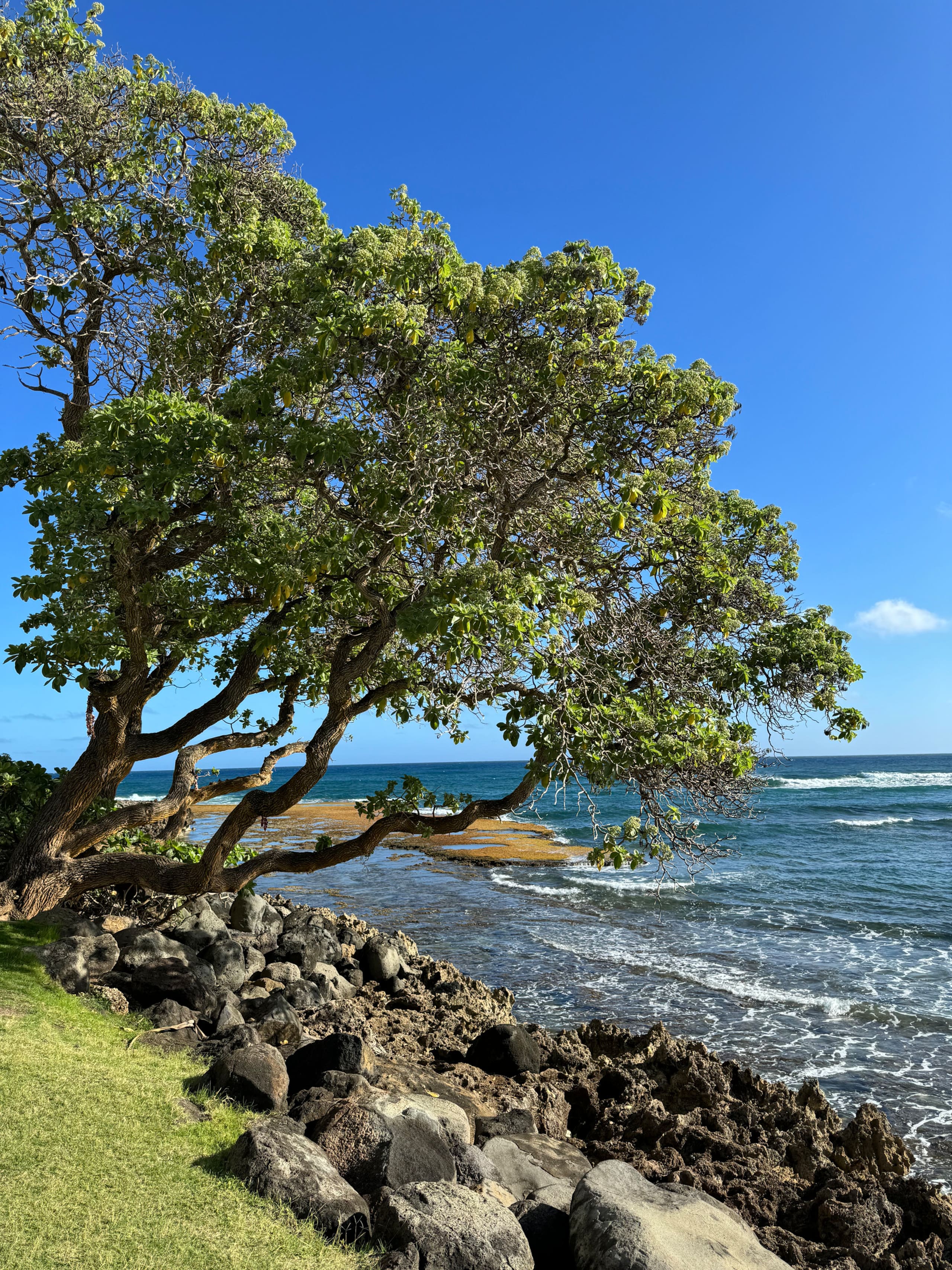 Villa in Kahuku · ★5.0 · 3 bedrooms · 4 beds · 2 private baths - Image 49