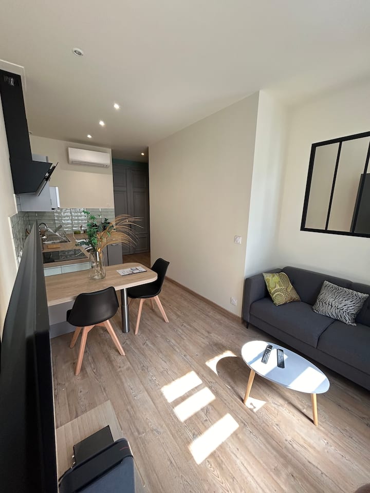 Appartement Centre Ville - Castelnaudary