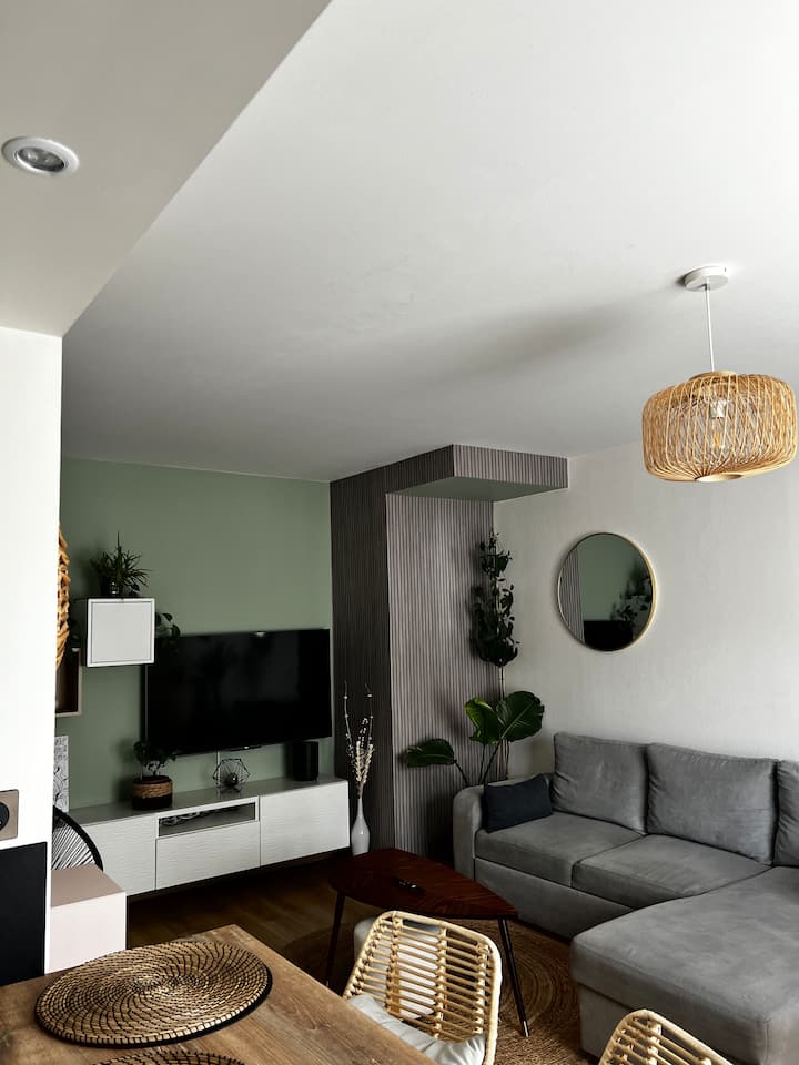 Appartement Spacieux En Duplex - Orléans