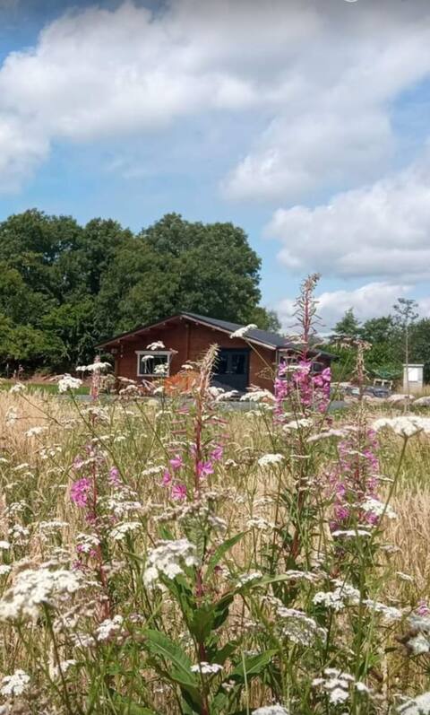 Home from Home. . Slow living. . .