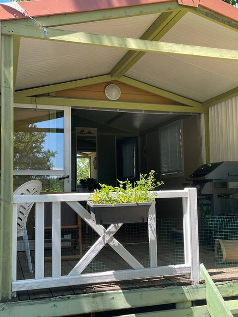 Cottage with lake view