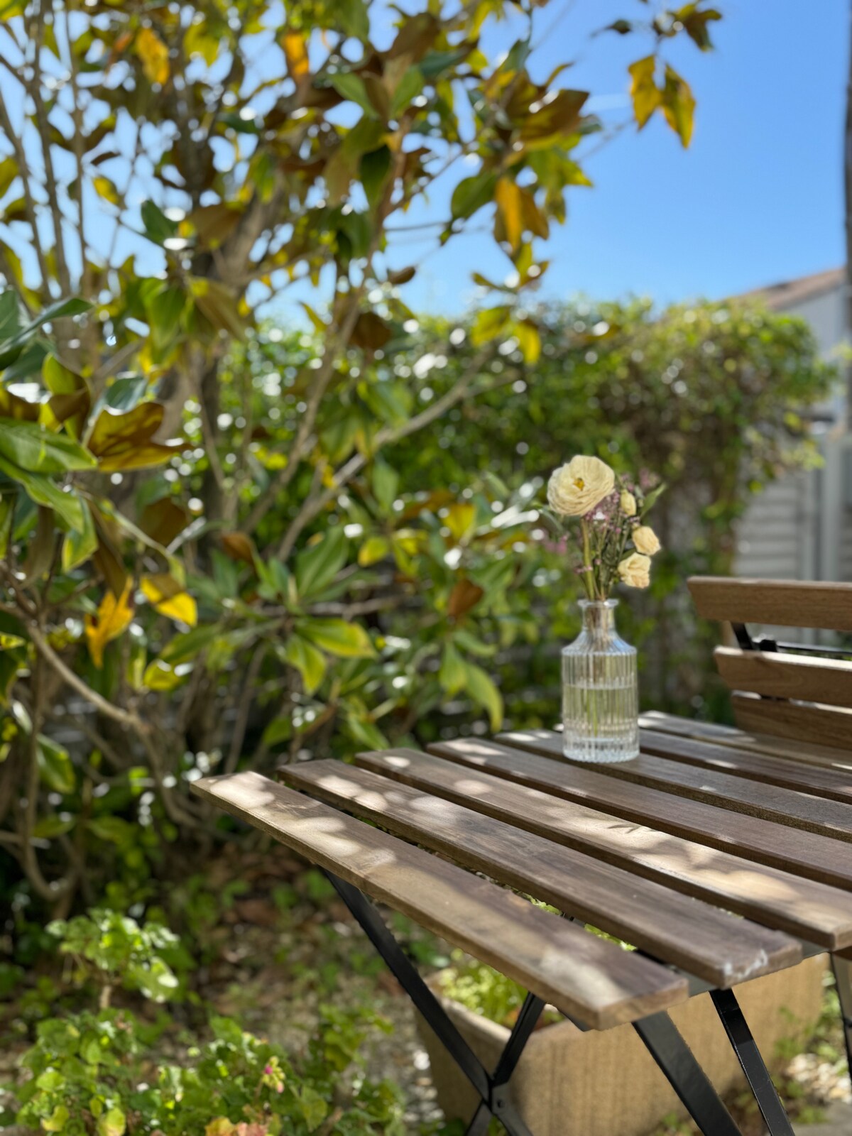 A wooden table is set in a garden area, featuring a small glass vase with dried flowers. Surrounding greenery includes lush plants and leaves, providing a natural backdrop. Bright sunlight enhances the outdoor setting, inviting a serene atmosphere.