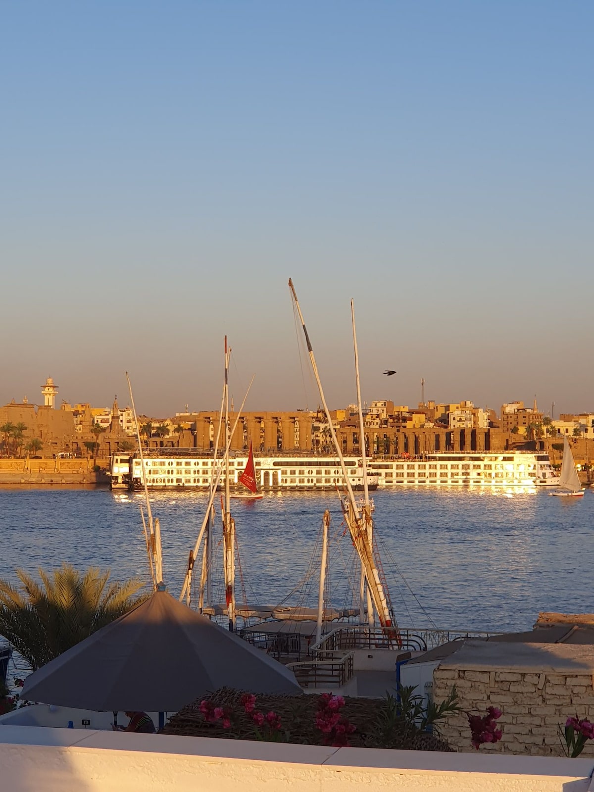 N3 Villa Omar El Sharif Apartment with pool - Apartments for Rent in El ...