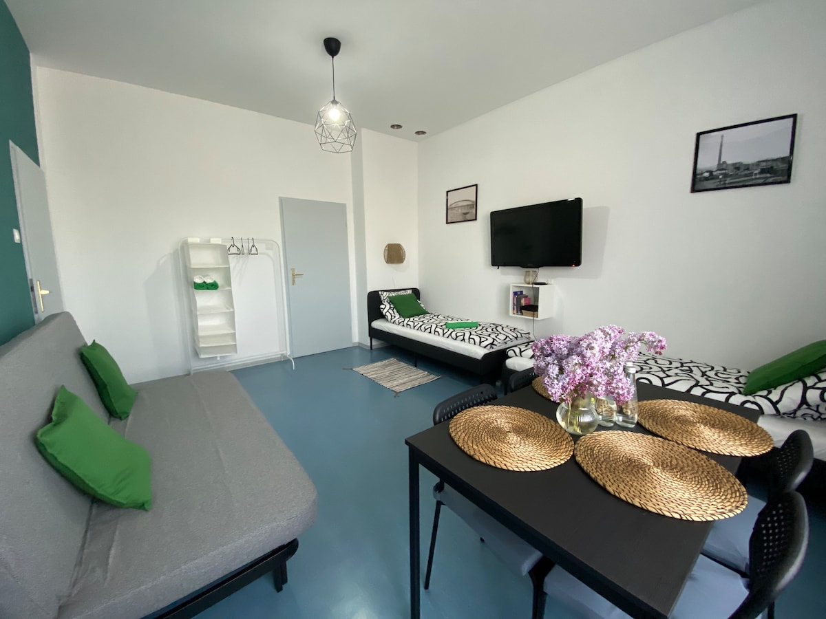 A bright living area is featured, showcasing two beds with black and white patterns and green accent pillows. A grey sofa bed adds versatility, while a small dining table is set with woven placemats and a vase of flowers. A wall-mounted TV adds modern convenience.