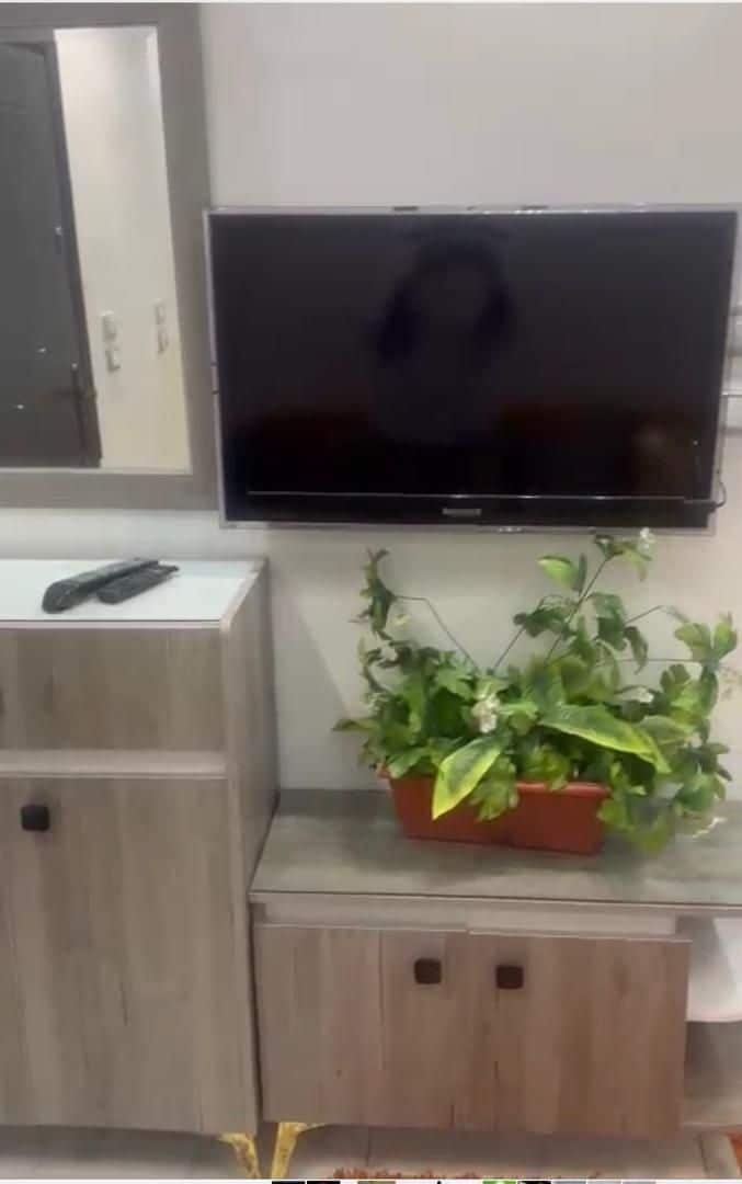 A modern living area features a mounted television above a console table. A potted plant adds a touch of greenery to the space. A remote control is positioned next to the television, while a mirror reflects the surroundings.