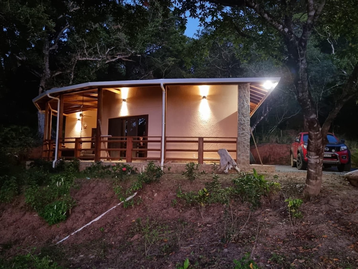 A modern house is nestled among trees, illuminated by soft exterior lights. The structure features a wooden porch with railings, and large glass windows reflect the surrounding greenery. A driveway leads to a parked vehicle, blending seamlessly into the serene landscape.