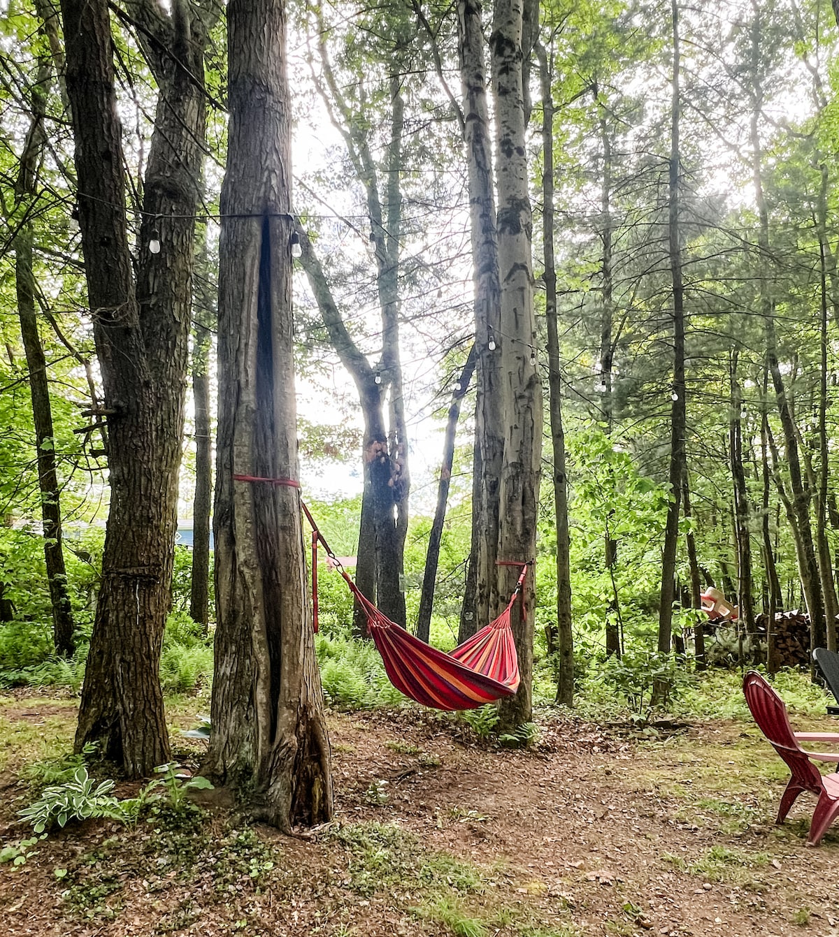 Relax in the hammock at Sweet River Lodge in Tionesta