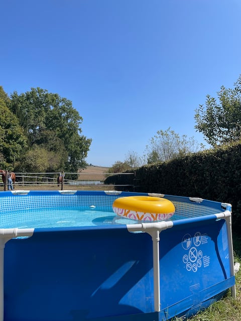 Nérac air-conditioned cottage for 4 to 14 people Dom de Marthès