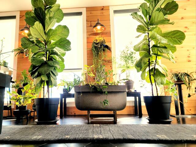 Women Hosted Plant Paradise 2BR | NYC + Airport gallery image 2