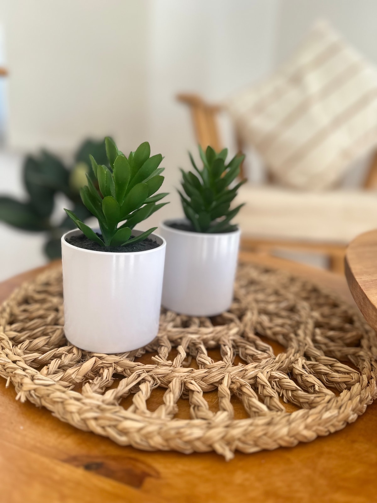 Two small potted plants with green foliage are placed on a round woven mat, which sits atop a wooden table. The background features a soft, neutral-colored cushion and more greenery, creating a serene indoor setting.