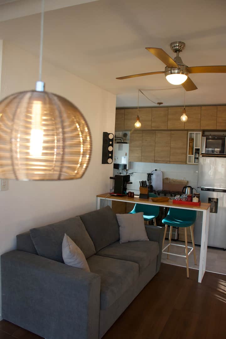 Bright one-bedroom apartment in Almagro